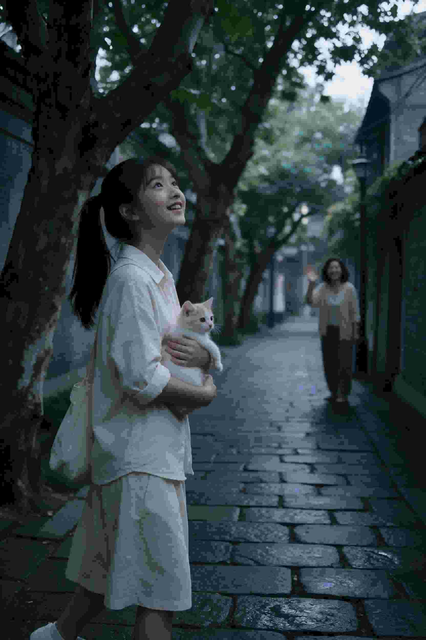 情深缘浅